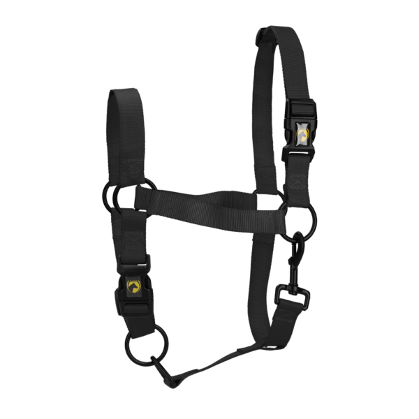 Halster van Nylon met Verstelbare Neusriem en Kopstuk, Zwart XL – Excellent Essential