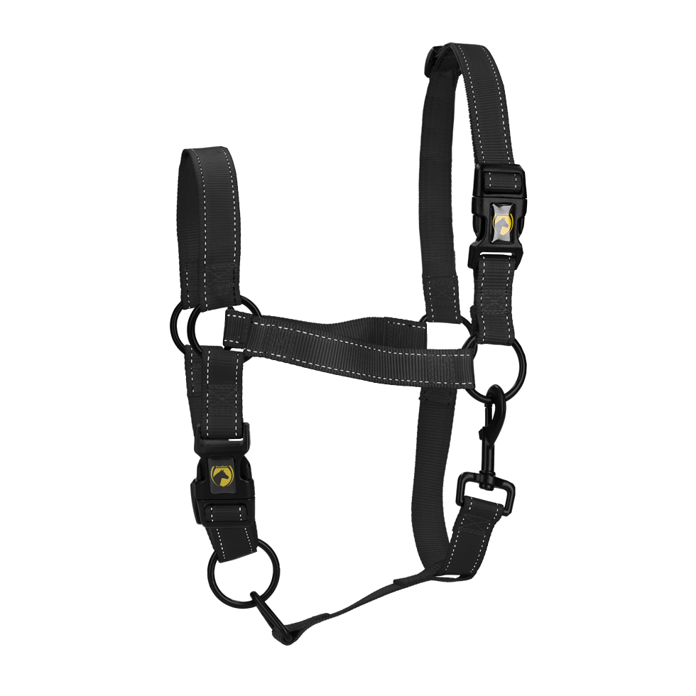 Halster met Klikgesp en Reflecterende Details Zwart XL – Excellent Premium Halster met Klikgesp en Reflecterende Details Zwart XL – Excellent Premium