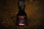 Glitterhoeflak Roze, 150 ml – Excellent Horse Hi Gloss Glitter Hoof Polish - Afbeelding 2