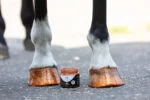 Glitterhoeflak Oranje, 150 ml – Excellent Horse Hi Gloss Glitter Hoof Polish - Afbeelding 3