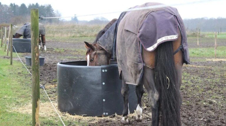 Hooiring voor Paarden in de Weide, ø 124–128 cm – Ok-Plast Hooi Ring Feeder