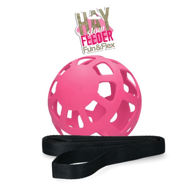 Hooibal voor Paarden van Natuurrubber, Roze, Diameter ca. 22 cm – Hay Slow Feeder Fun & Flex