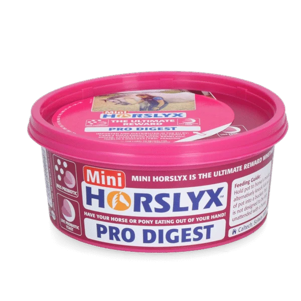 Liksteen voor Paarden als Beloning, 650 g – Horslyx Mini Spijsvertering
