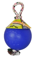 Hondenbal met Touw, Drijvend, Blauw M (15 cm) – Jolly Pets Romp-n-Roll