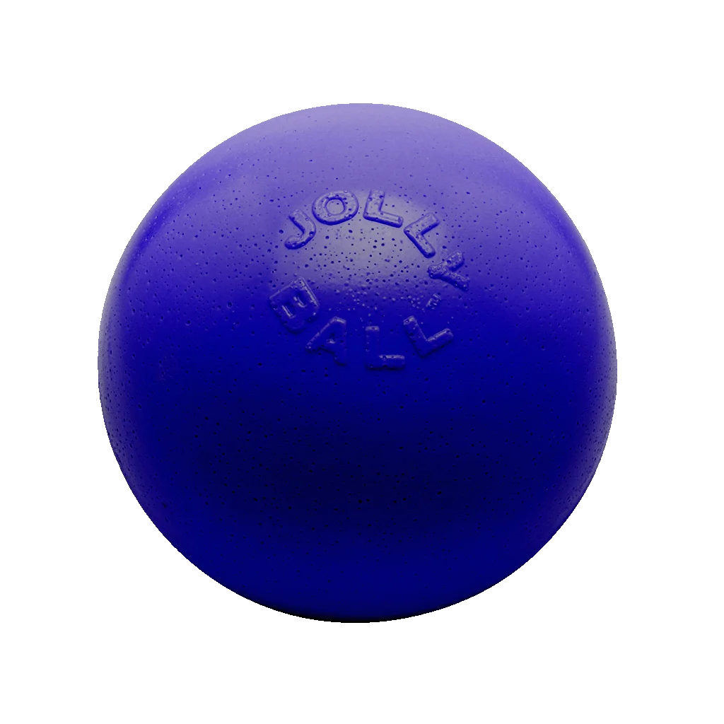 Stuiterende Hondenbal, Drijvend, Blauw M, 15 cm – Jolly Pets Bounce-n Play - Afbeelding 1
