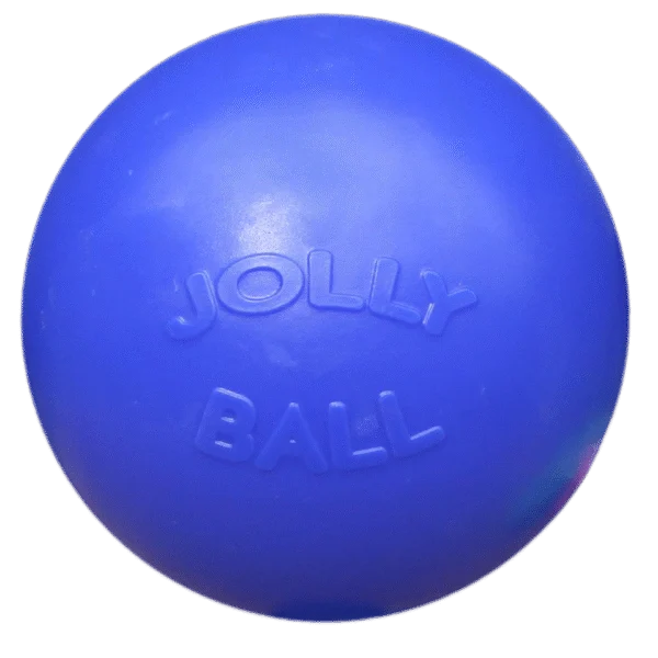 Hondenbal met Gladde Afwerking Blauw, 25 cm – Jolly Pets Push-n-Play