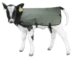 Kalverdekje Waterdicht en Ademend, 70 cm – Hofman Animal Care Calf Coat - Afbeelding 2
