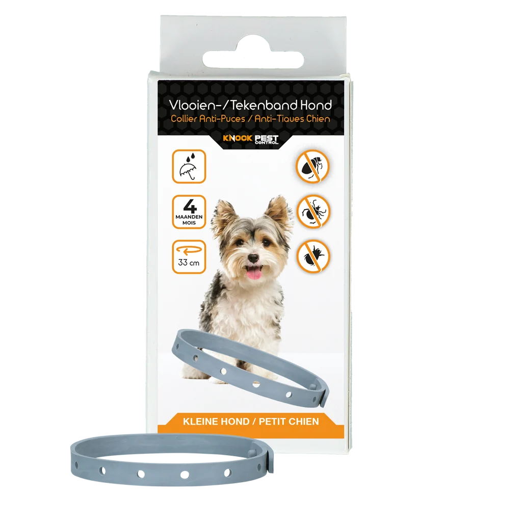 Tekenband voor Honden tegen Vlooien, 33 cm, Nederlands en Frans – Knock Pest - Afbeelding 1