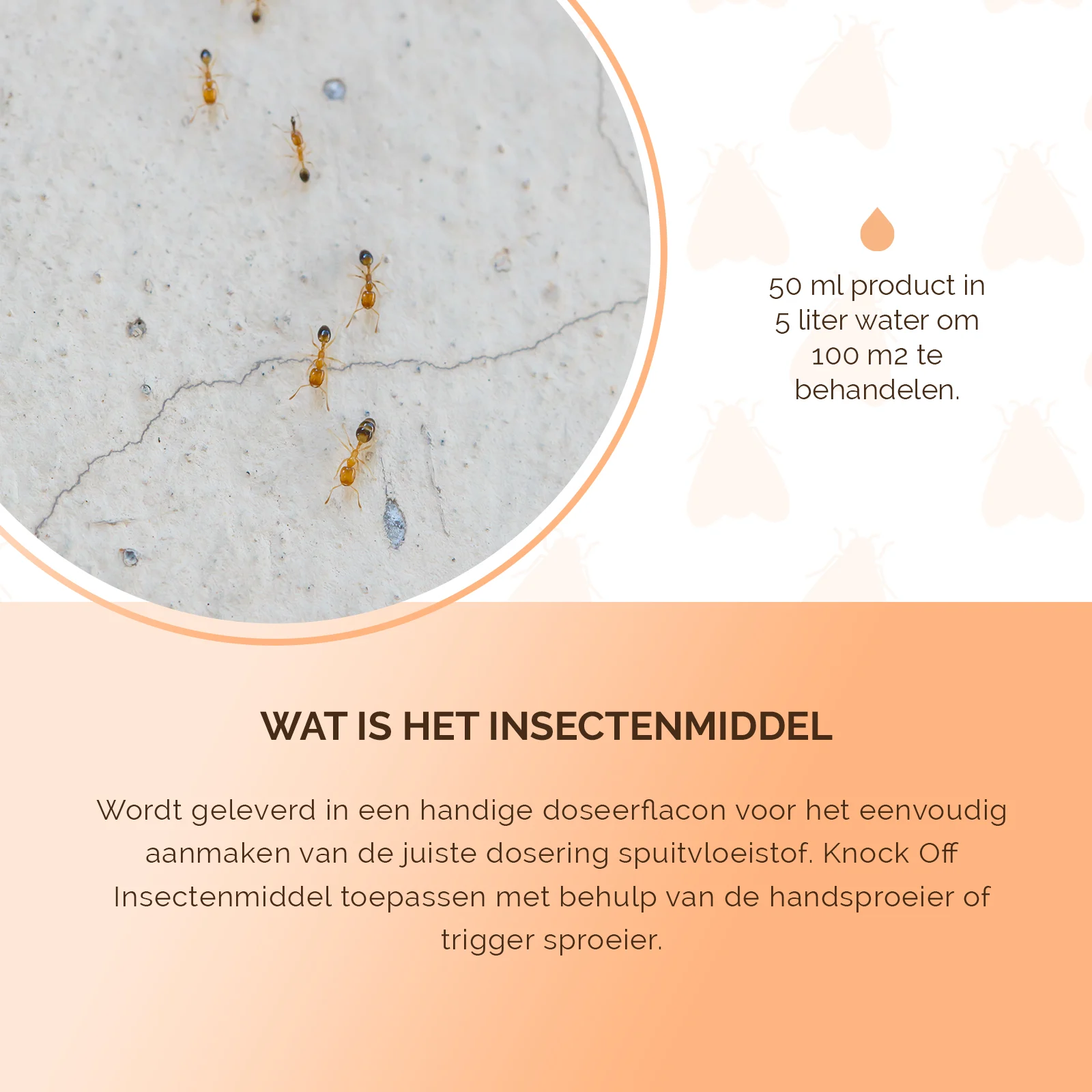 Insectenmiddel voor Kruipende Insecten, Doseerflacon 100 ml – Knock Pest - Afbeelding 5