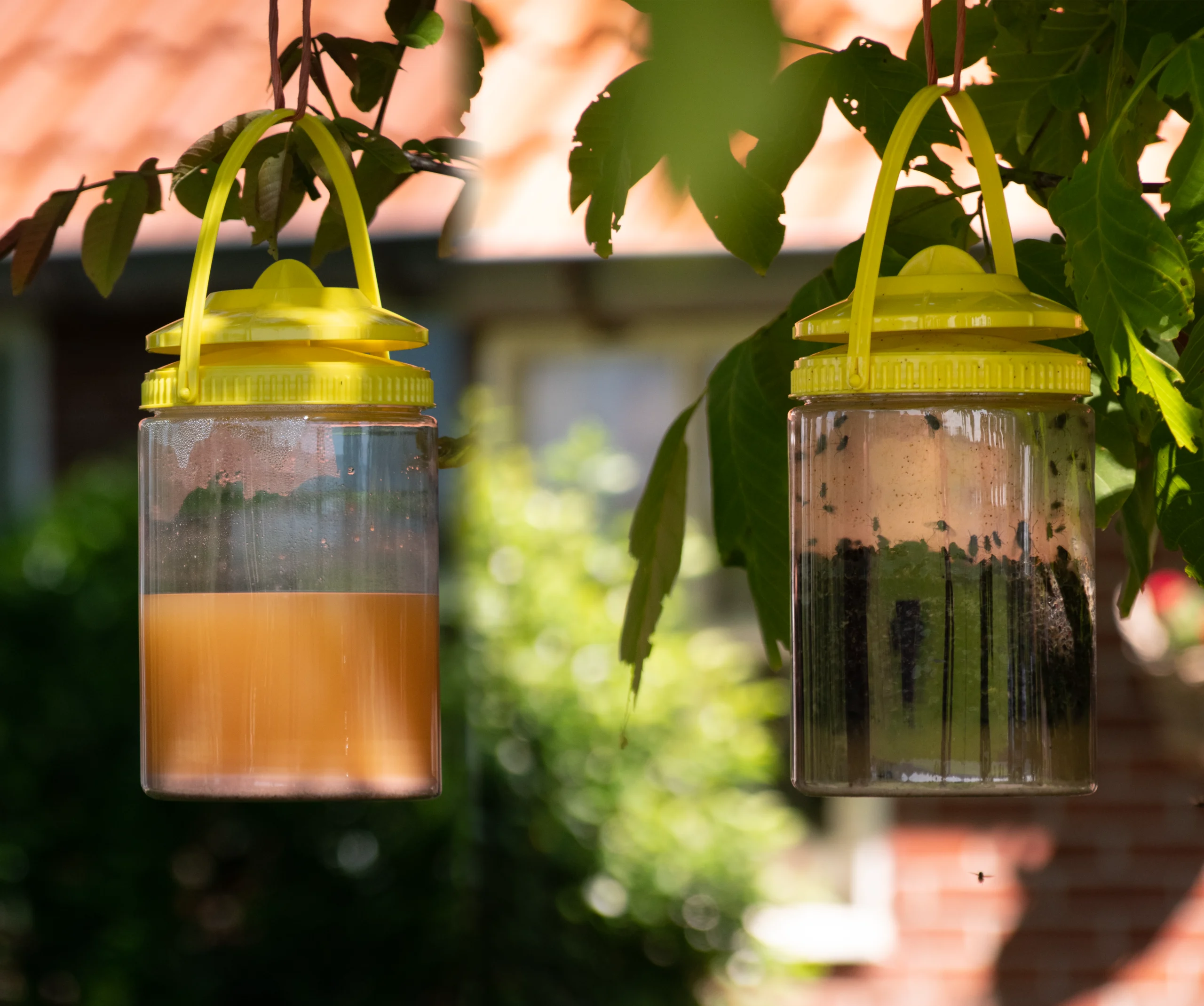Vliegenval met Lokmiddel voor Buiten, 2 l – Knock Pest FlyNip - Afbeelding 6