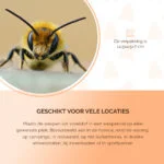 Wespenlokstof voor Wespenvallen, 250 ml – Knock Pest Wasp Bait (Wespentraktatie) - Afbeelding 5