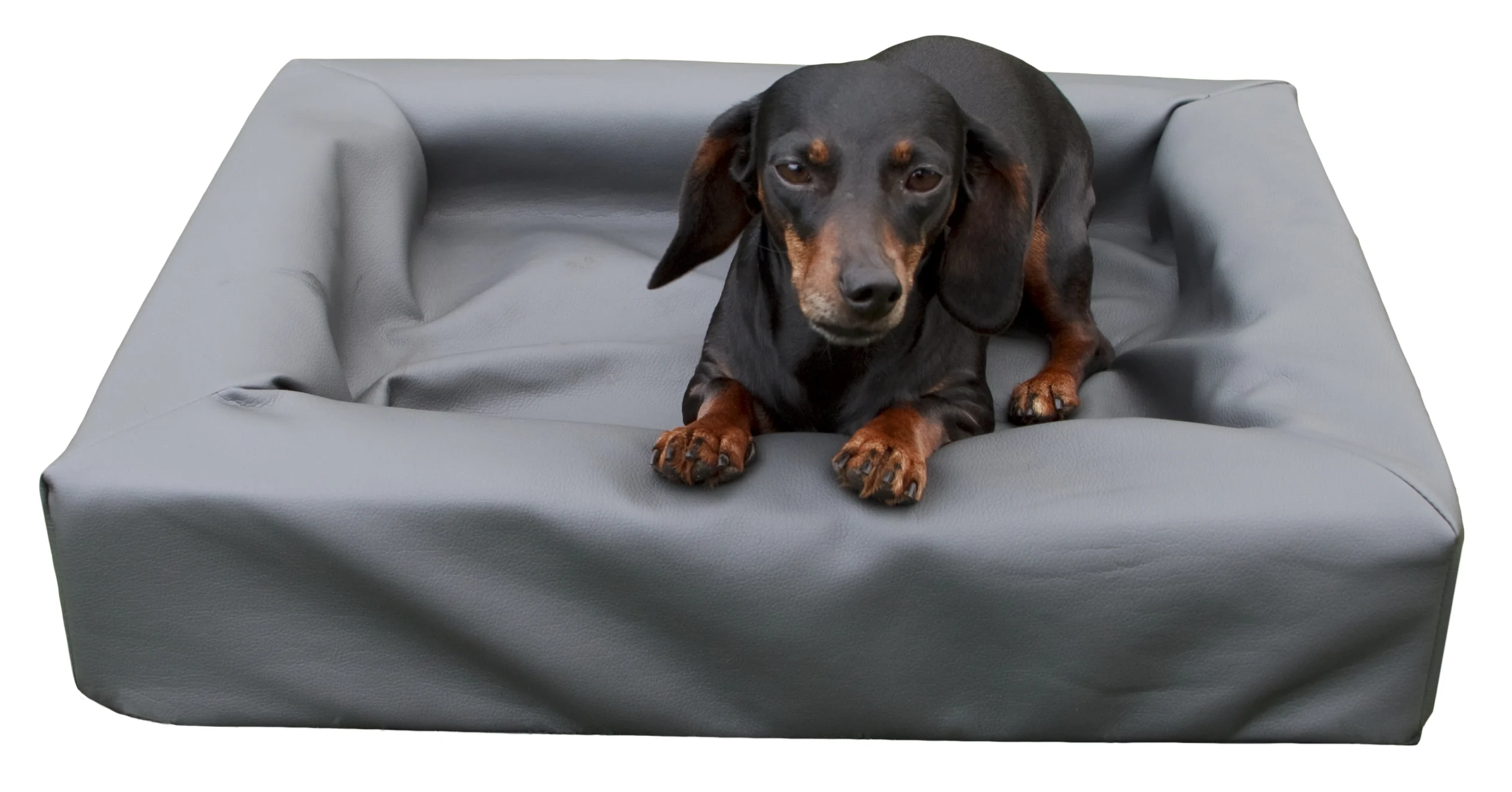 Hondenbed Lounge van Kunstleer met Opstaande Rand S, 50 x 60 cm - Afbeelding 3