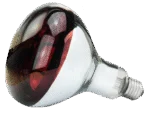 Warmtelamp van Hard Glas voor Jonge Dieren, 150 W Rood - Afbeelding 2