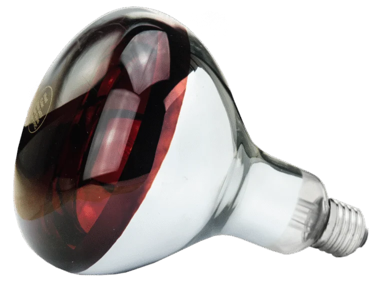 Warmtelamp van Hard Glas voor Jonge Dieren, 250 W Rood