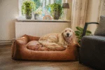 Hondenmand met Uitneembaar Kussen L Antraciet – Let's Sleep Sweet Dreams - Afbeelding 2