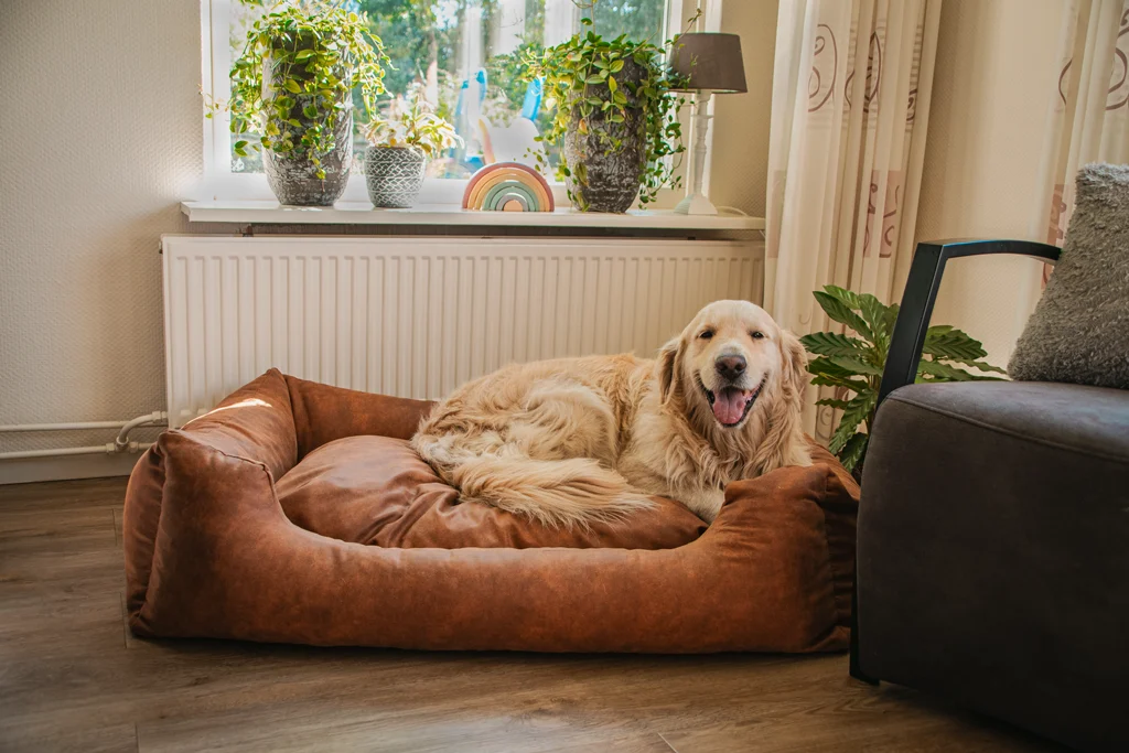 Hondenmand met Uitneembaar Kussen L Taupe – Let's Sleep Sweet Dreams - Afbeelding 2