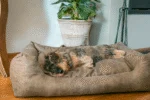 Hondenmand met Uitneembaar Kussen L Taupe – Let's Sleep Sweet Dreams - Afbeelding 3