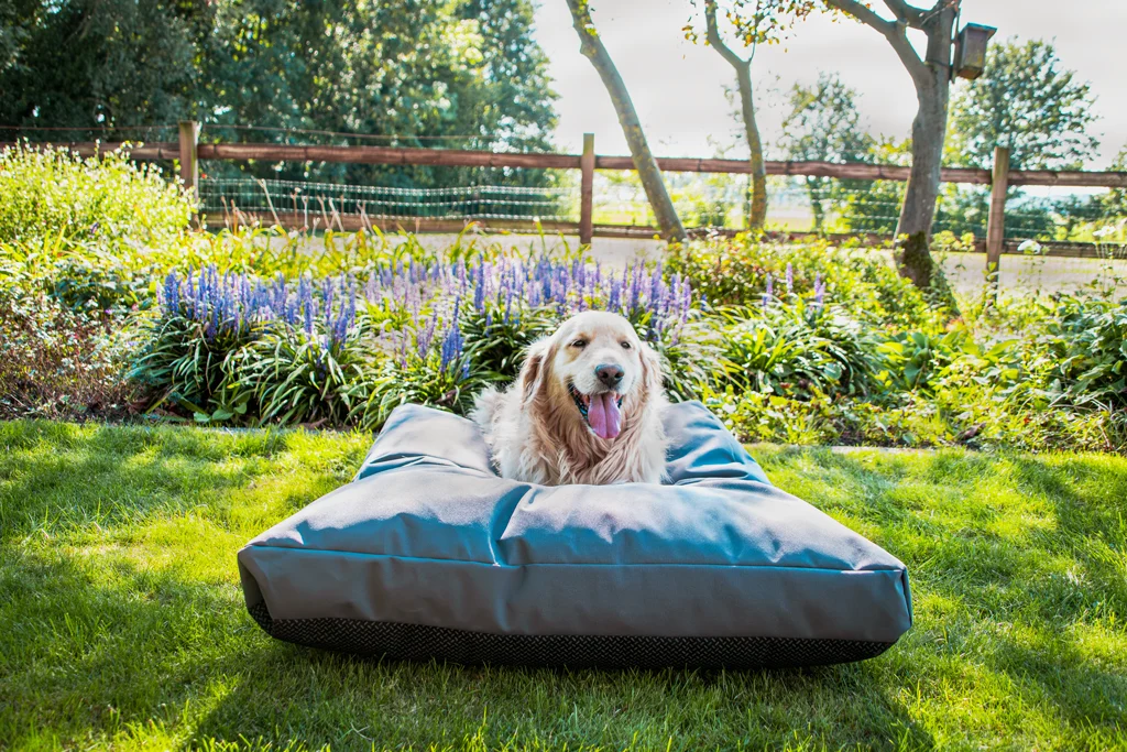Hondenkussen voor Buiten met Waterafstotende Buitenzijde, Antraciet XL, 125 x 90 x 10 cm – Let's Sleep Cushy Cloud - Afbeelding 2