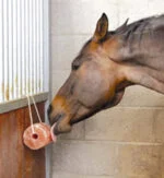 Liksteen van Himalayazout voor Paarden met Touw, 2 tot 3 kg – Excellent Horse Salt Lick Himalaya - Afbeelding 2