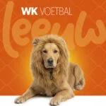 Leeuwenmanen voor Honden Oranje L – Holland Oranje Manen Tooi - Afbeelding 2