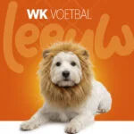 Hondenmanentooi Oranje M – Holland Oranje Manen Tooi - Afbeelding 2