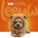 Hondenmanentooi Oranje S – Holland Oranje Manen Tooi - Afbeelding 2