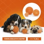 Hondenbal met Zachte Stekels M – Holland Oranje Egelbal - Afbeelding 6