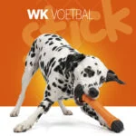 Apporteerstick Drijvend met Pieper S 24 cm – Holland Oranje Apporteerstick - Afbeelding 2