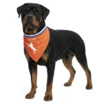 Hondenbandana Oranje L voor Koningsdag – Holland Oranje Bandana