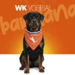 Hondenbandana Oranje L voor Koningsdag – Holland Oranje Bandana - Afbeelding 2