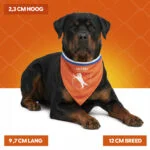 Hondenbandana Oranje L voor Koningsdag – Holland Oranje Bandana - Afbeelding 4
