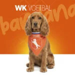 Hondenbandana Oranje M voor Koningsdag – Holland Oranje Bandana - Afbeelding 2