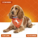 Hondenbandana Oranje M voor Koningsdag – Holland Oranje Bandana - Afbeelding 4