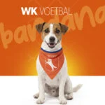 Hondenbandana Oranje S voor Koningsdag – Holland Oranje Bandana - Afbeelding 2