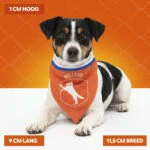 Hondenbandana Oranje S voor Koningsdag – Holland Oranje Bandana - Afbeelding 4