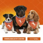 Hondenbandana Oranje S voor Koningsdag – Holland Oranje Bandana - Afbeelding 6