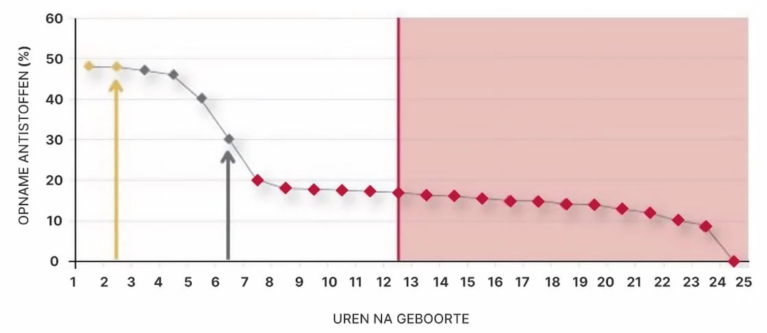 Biest voor Kalveren, Vrij van IBR, 500 g – Excellent Colostrum - Afbeelding 3
