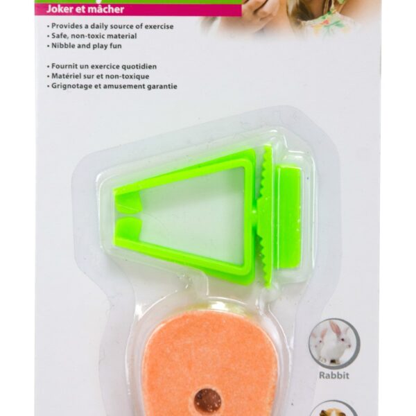 Knaagwortel voor Konijnen en Cavia's, 1 cm Dik – Pawise Play & Chew Salt Carrot