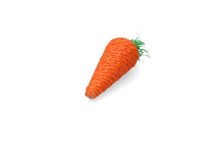 Knaagspeelgoed voor Konijnen en Knaagdieren, Gekleurd – Pawise Play & Chew Carrot