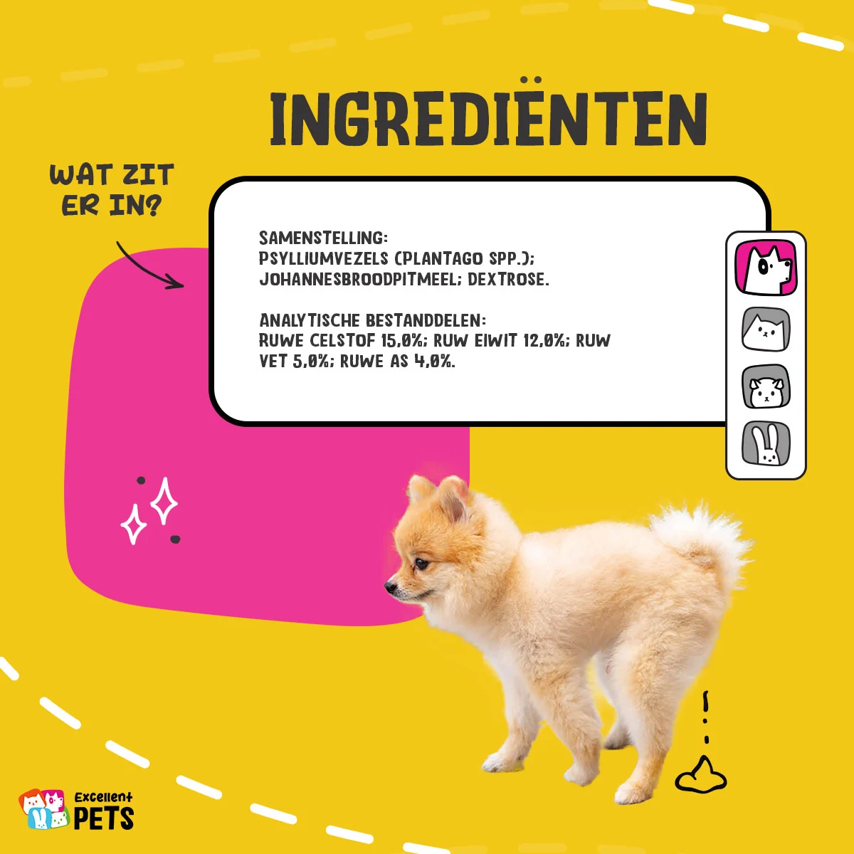 Psylliumvezels voor Honden in Poedervorm, 100 g – Excellent Pets Dog Psyllium+ - Afbeelding 4