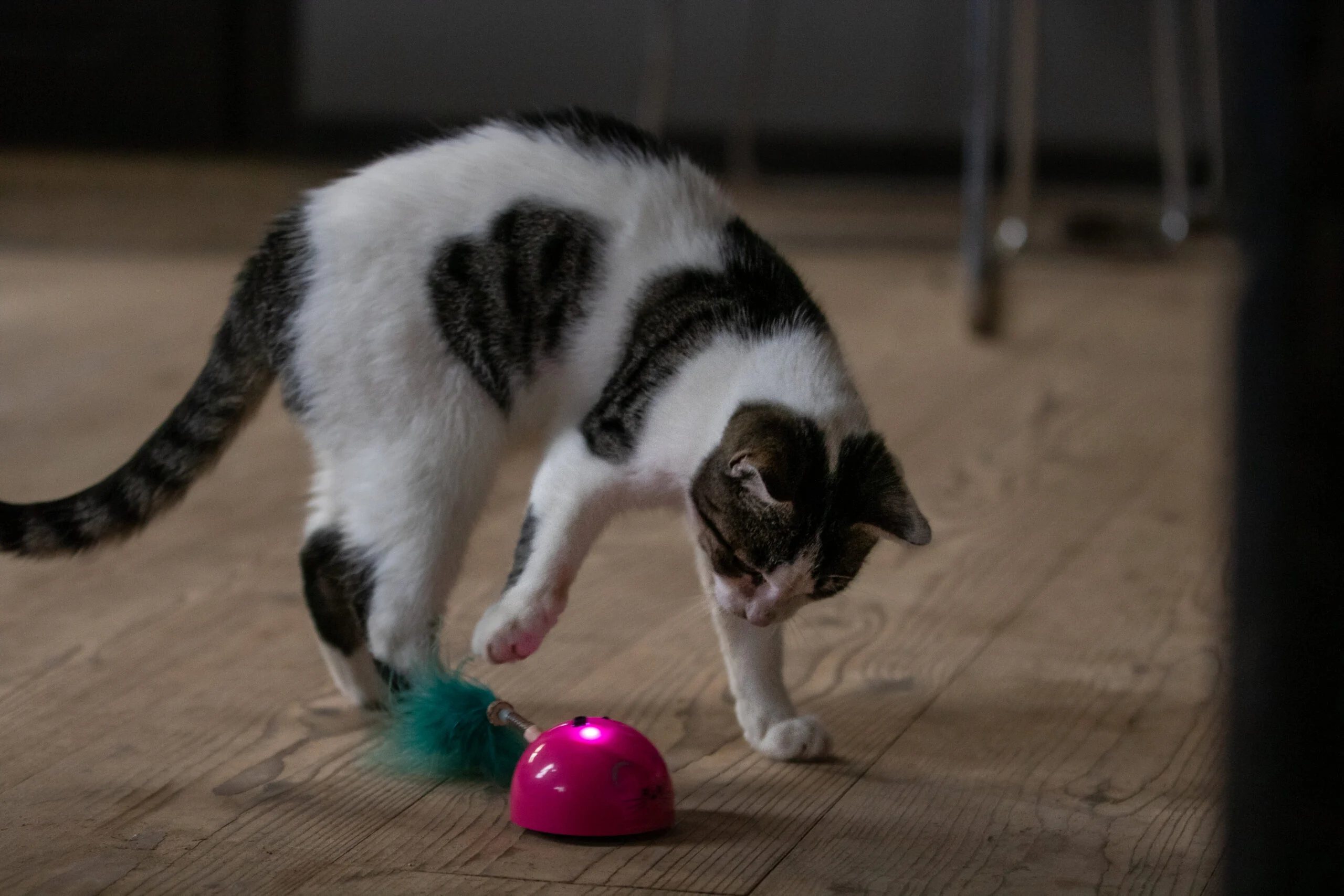 Speelmuis met Bewegingssensor en Madnip, Roze – Robocat Mouse - Afbeelding 5