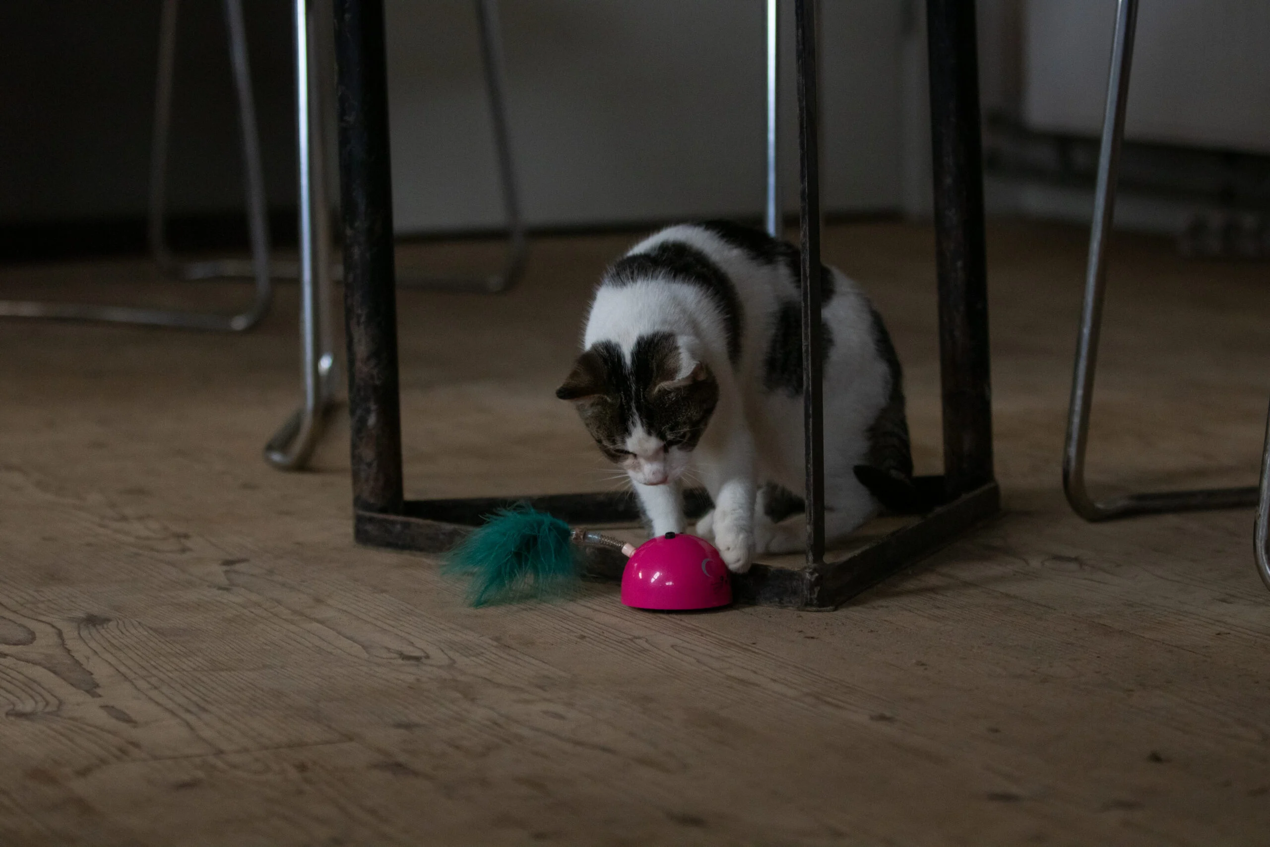 Speelmuis met Bewegingssensor en Madnip, Roze – Robocat Mouse - Afbeelding 6