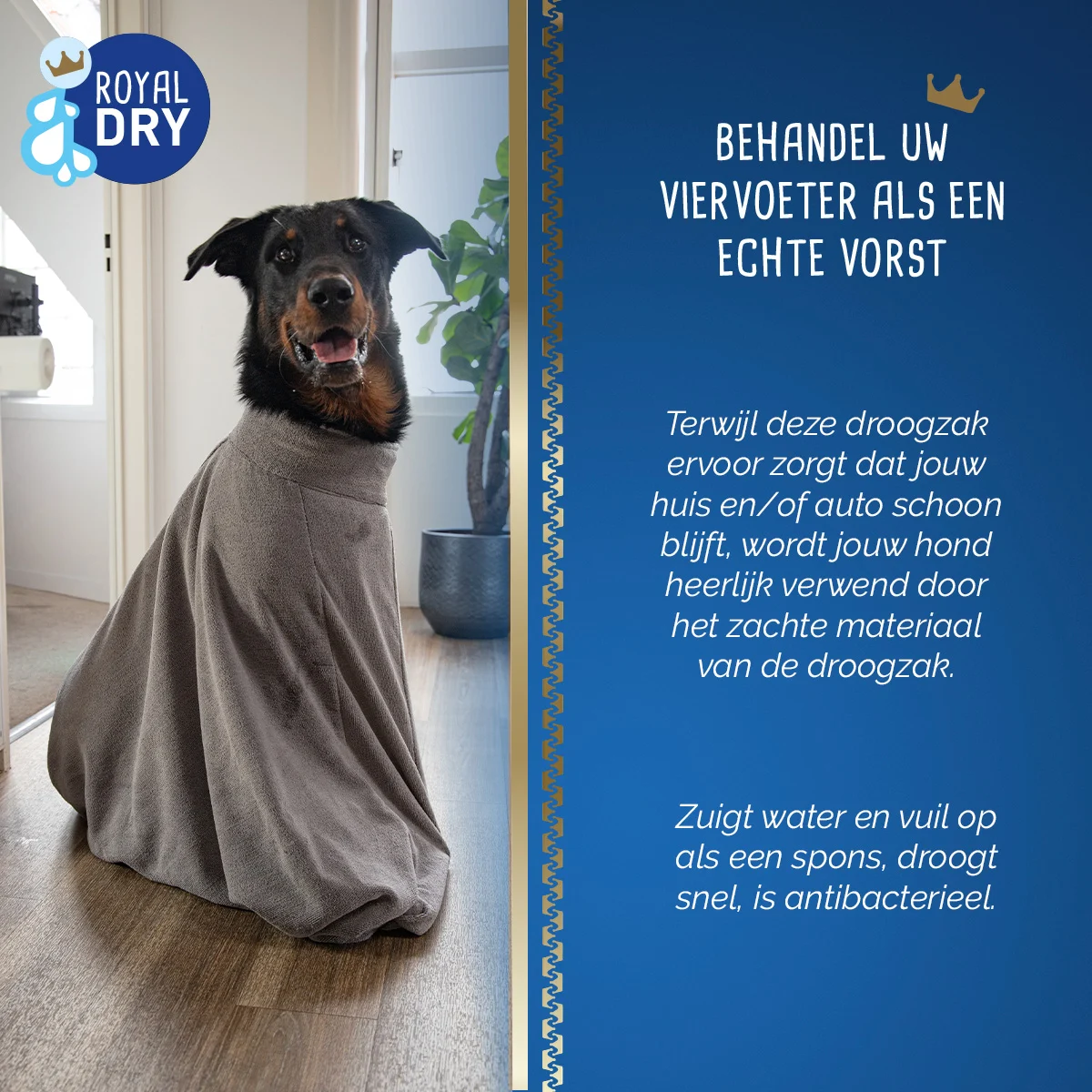 Hondendroogzak van Microvezel L, Ruglengte 75 cm – Royal Dry Doggy Bag - Afbeelding 6