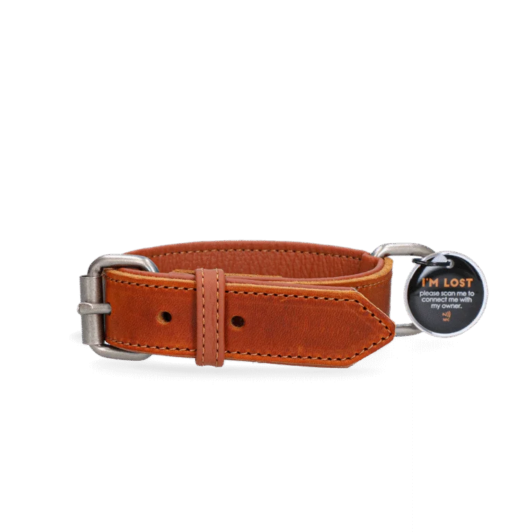 Leren Hondenhalsband met Digitale Penning, 55 cm, Cognac – Spotted! Pro