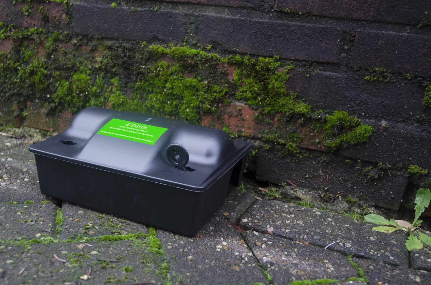Waarschuwingssticker voor Monitoringslokaas of Slagval, 8 x 4 cm, 100 Stuks – Hofman Pest Control Onvergiftigd / Slagval - Afbeelding 2