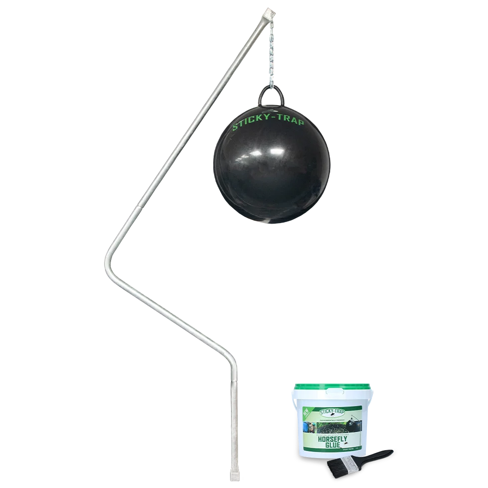 Dazenval met Bal van 60 cm en 1,5 l Lijm – Sticky Trap Glue-val Compleet Heavy - Afbeelding 1