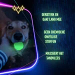 Speelbot voor Honden, Lichtgevend – 2 Glow Cracking & Tracking Bone - Afbeelding 6