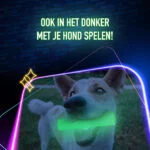 Hondenbal met Licht in het Donker – 2 Glow Treat Ball on Call - Afbeelding 5