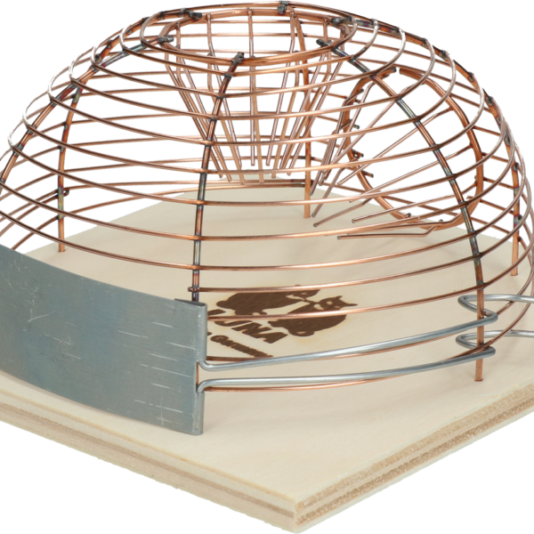 Levende Muizenval met Houten Bodem, 14 x 14 cm – Luna