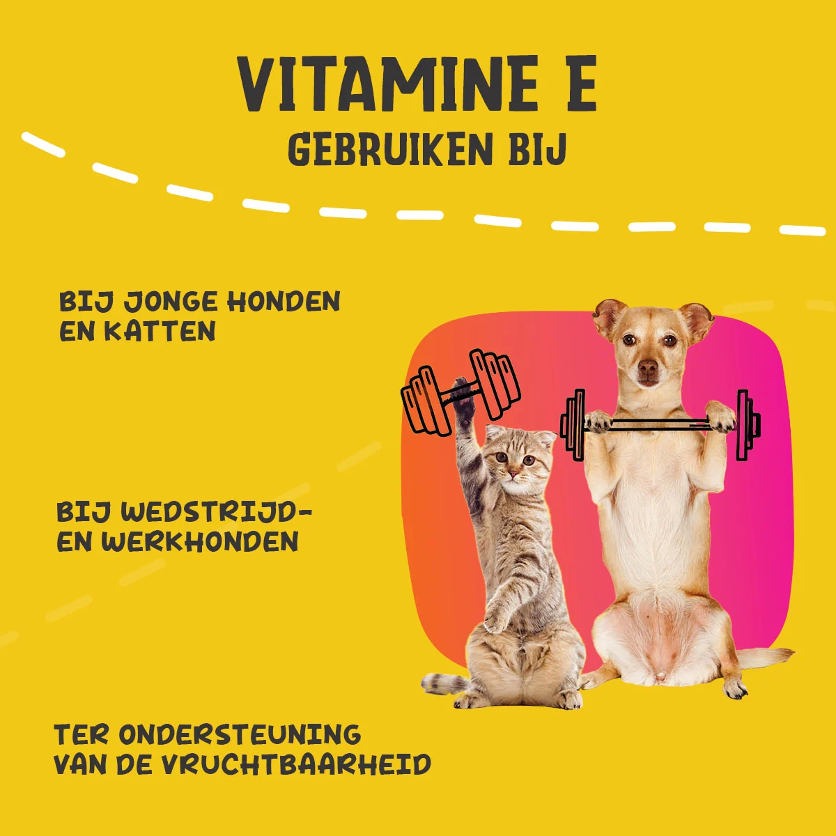 Supplementpoeder voor Honden en Katten met Vitamine E en Selenium, 250 g – Excellent Pets Vitamin E+ - Afbeelding 6